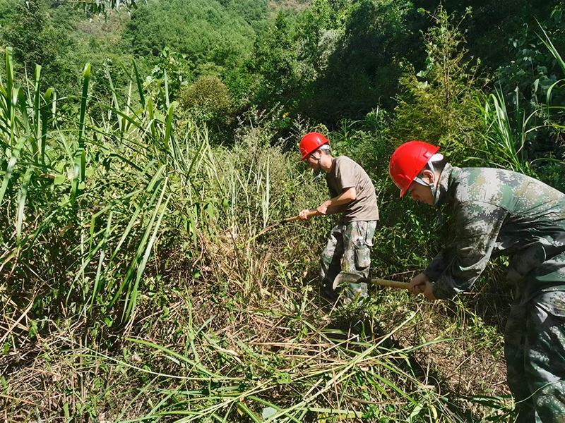 1677034804835134.png 图片40.png